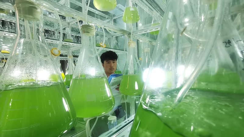 PC离心管材质大揭秘：如何选择适合的离心管？**
