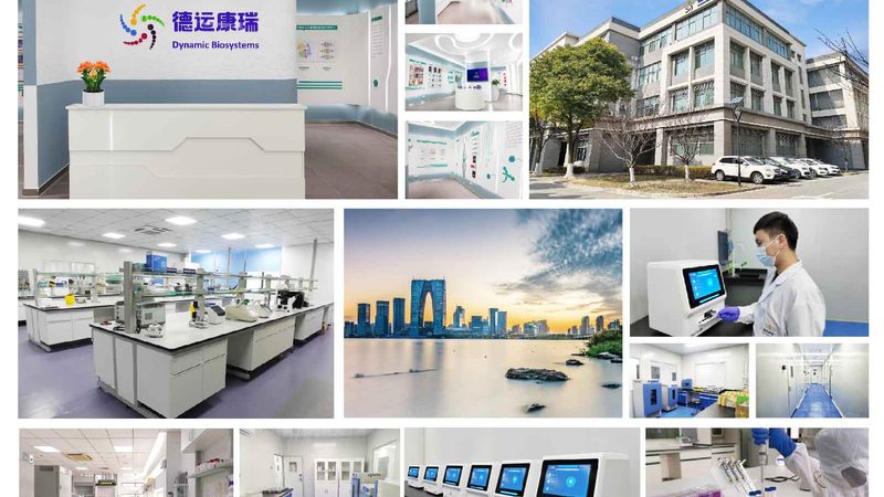 引物合成：如何精准选择参数，助力精准科研？**