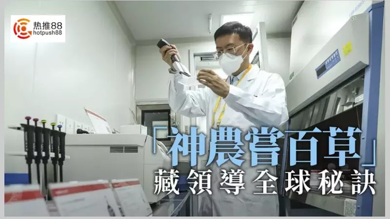 科研耗材报价清单表格：如何解读与选择**