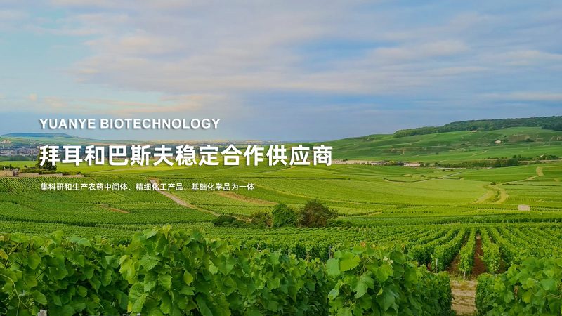引物合成长链合成能力：揭秘PCR技术背后的关键