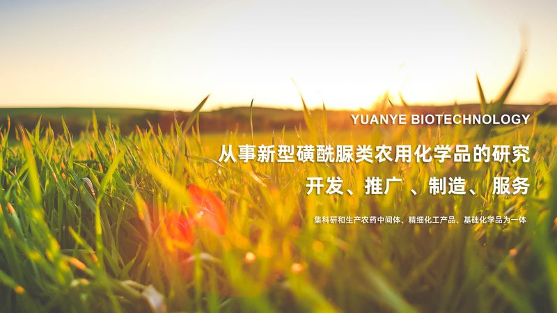离心管厂家资质认证，揭秘其背后的标准与意义**
