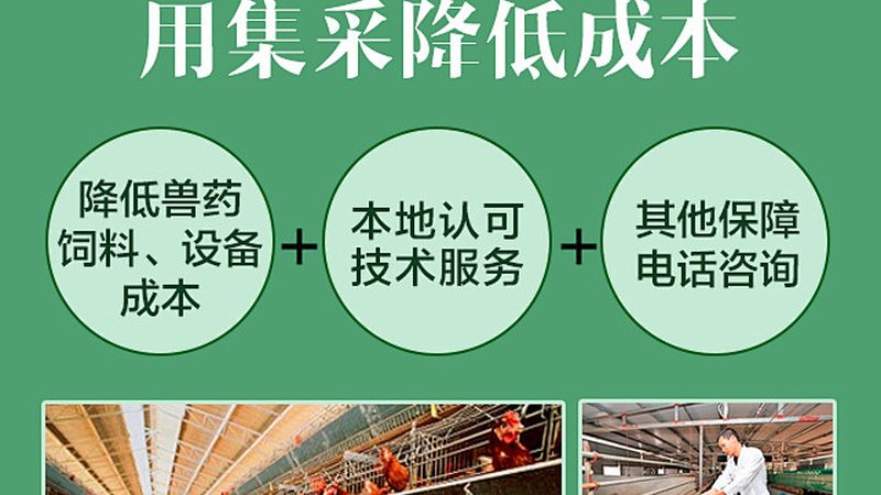 疫苗生产外包定制服务：揭秘定制化疫苗生产的秘密