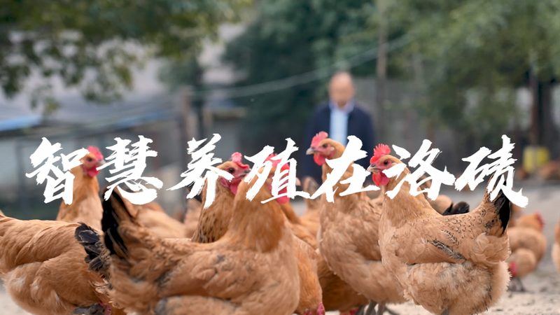 酵素与酶：北京市场选购指南，避开误区，科学选择